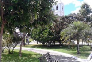 Aniversrio de Cana Verde