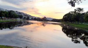 Aniversrio de Machado