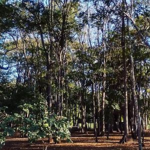 Hotel Pousada Mariana
